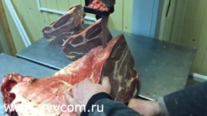 Пила ленточная В2 ФР 2П