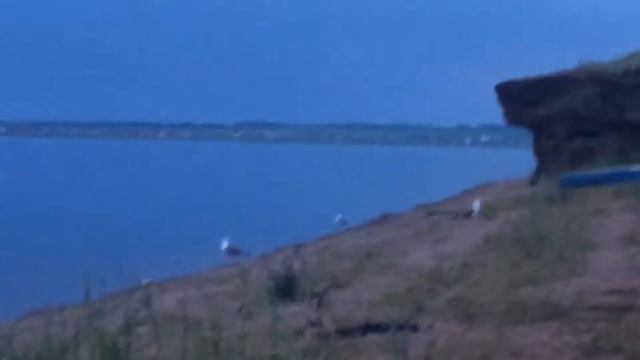 Аслыкуль.Маленькое море/Звуки природы/В мире животных/Башкирия/чайки/ОЗЕРО смотреть онлайн