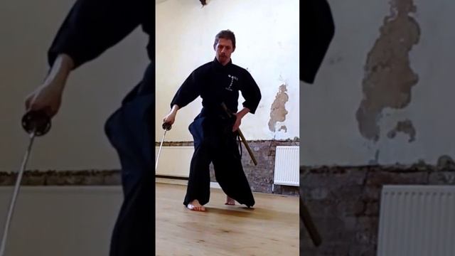 Iaido Kata Ippon-me Mae : Iai friends, I'd like your feedback please in the comments#iaido