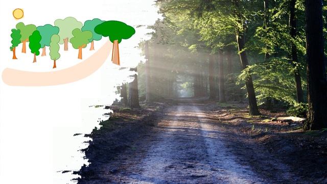 Звук ходьбы в лесу | Звук ходьбы в лесу | Звуки природы
