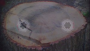 Послушай, человек