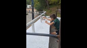 комим котов