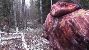 Волк или собака - ИСПОРТИЛ ВСЮ ОХОТУ ! РГ Аргон вл. Шатров В.А.