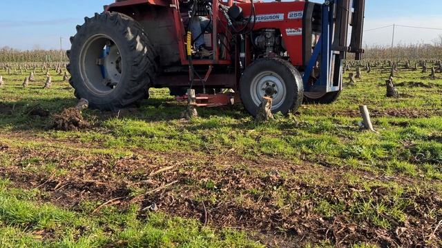 Karczujemy sad - wyrywamy pnie - Red Jonaprince na M9 смотреть онлайн