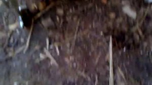 Вибратор своими руками (так делать не надо)