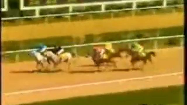 TEMİZSU HANGÜN KAPIŞMASI.?? 23/06/2005 İSTANBUL смотреть онлайн