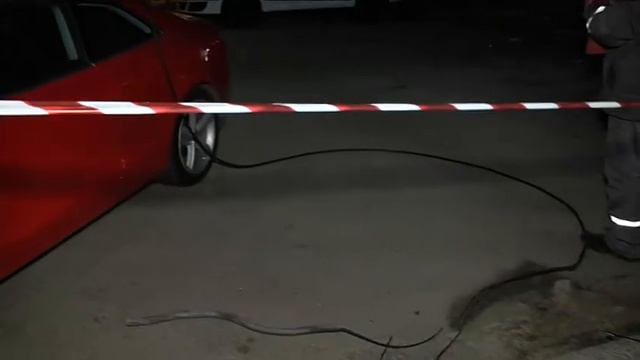 Дерево у Дніпрі впало на машини та знеструмило салон краси смотреть онлайн