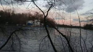 Чёрный ворон. Воронье войско в Москве.