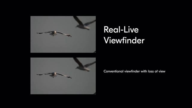 Nikon Z 8 | Product tour of our new full-frame hybrid camera смотреть онлайн