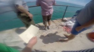 Дайвинг в Феодосии