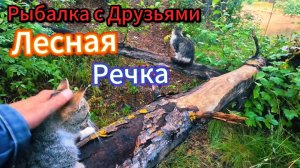 МНОГОСЕРИЙНАЯ РЫБАЛКА С ДРУЗЬЯМИ ЛЕСНАЯ РЕЧКА ЛОВИМ ЛЕЩА ПЛОТВУ УКЛЕЙКУ ПИСКАРЯ ОКУНЯ КОЛЮЧКУ