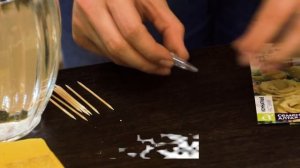 Как вырастить эустому из семян. Правильный посев эустомы. ЛУЧШИЙ СПОСОБ ОТ АГРОНОМА!