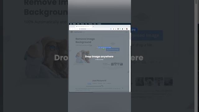 Как быстро удалить фон на фотографии без фотошопа #Shorts
