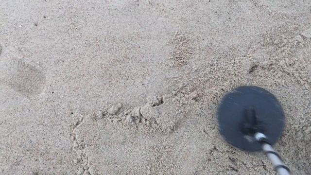 Копаем на пляже. Поиск в Зеленоградске.Балтийское море. Янтарный берег.Калининградская область.