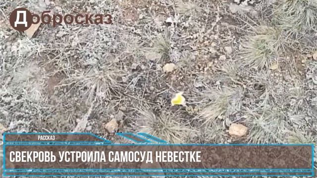 Свекровь устроила самосуд невестке в присутствии её родителей... смотреть онлайн