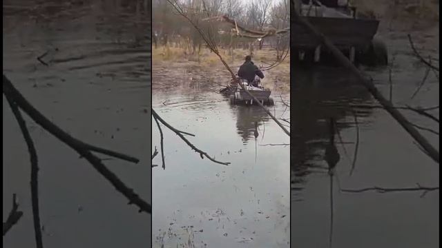 Поездка на мотоблоке с гусеницами Крутец по болотистой местности