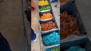 разноцветные цыплята и как они это сделали?