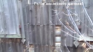#Покинутый мир. Мертвая деревня. Сталк.