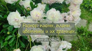 Разное: пионы, цветники и их границы, планы, что сделано | Vlog Дача как есть 16.06.2024