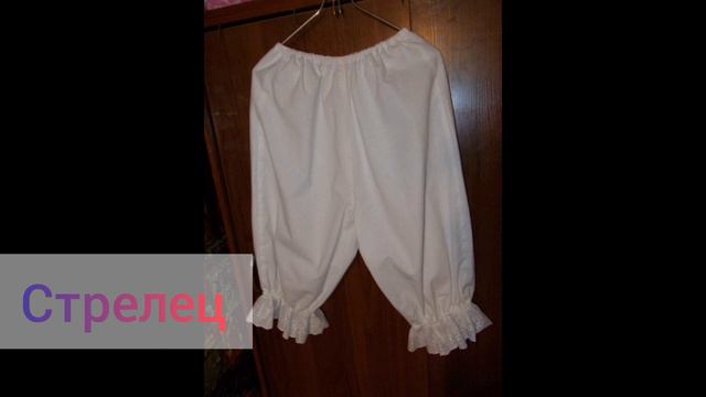Какие вы трусы по знаку Зодиака 1 часть. Говорит домашний пёс и домашний пёс.