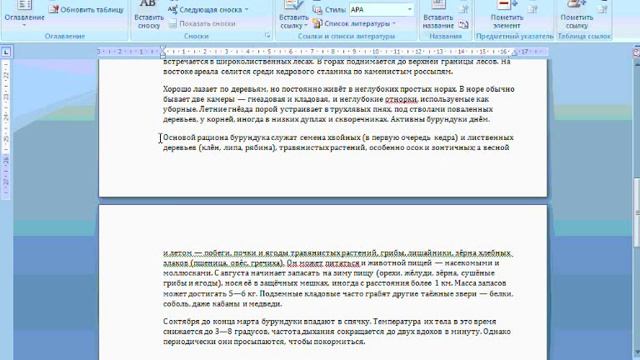 Microsoft Word 2007. Создание отчета смотреть онлайн
