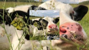 dr. alban - it's my life | speed up