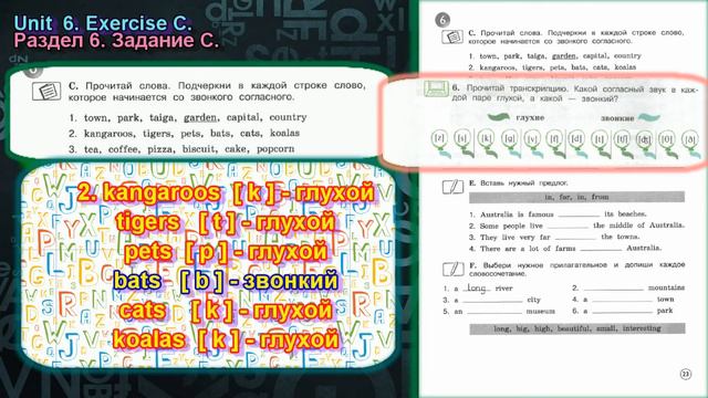 3 класс задание С раздел 6 Рабочая тетрадь Вербицкая Английский язык Forward смотреть онлайн