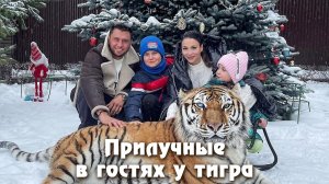 Прилучные в гостях у тигра