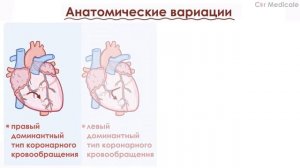 Коронарное кровообращение