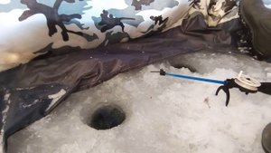 рыбалка на плотву в палатке