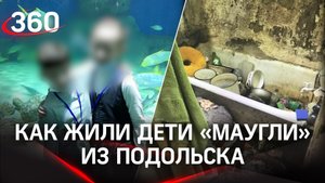 Дети «маугли» из Подольска. Их нашли в квартире полной мусора