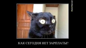 Почему мы так говорим?Крылатые фразы ч 1