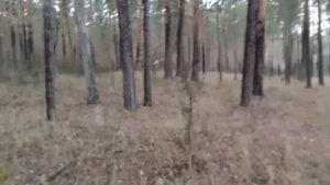 Зачем семья Влада Бахова уничтожала важные улики? ? Дело Влада Бахова ✔️ Бахов ✔️ Влад Бахов