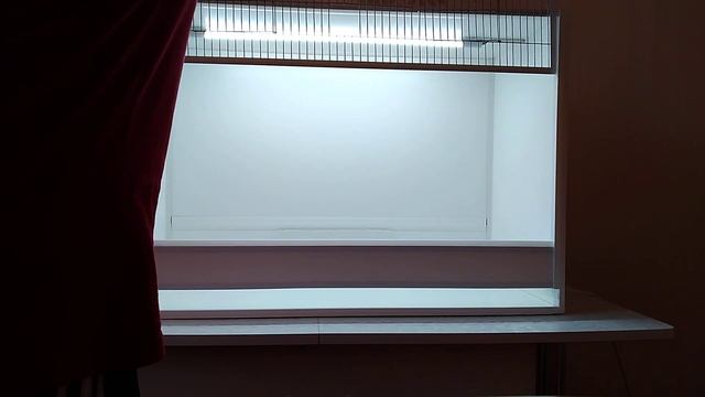 Клетка "Бокс" для экзотических птиц. смотреть онлайн