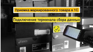 Приемка маркированного товара в 1С на ТСД.