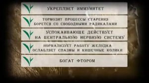 Ройбуш - полезные свойства и правила заваривания