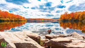 Beautiful Relaxing Music - Soothing Autumn Melodies, Mindful and Peaceful Piano Instrumental Music