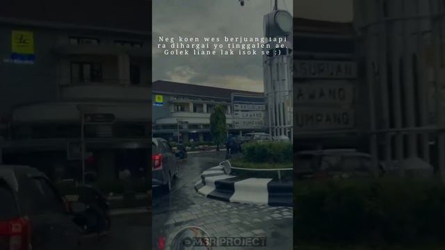 STORY WA TERBARU SEHARUSNYA AKU