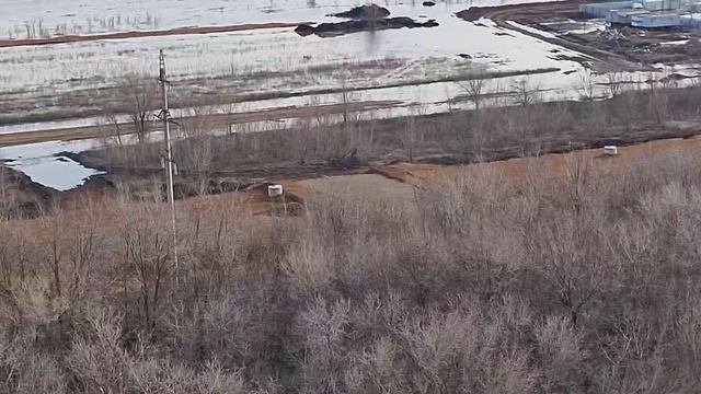 Сирена Оренбург