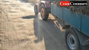 СУПЕР УДОБРЕНИЯ для огорода за копейки и без химии, только одна органика что равно ЭКОПРОДУКТ