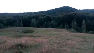 Стелс 500 h с медным сцеплением