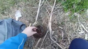 Рыбалка | Ловля ротана весной | Май 2021