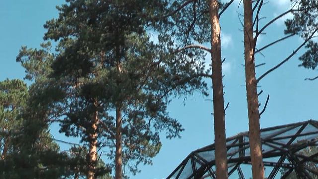 Футаж Новосибирский зоопарк 001139 смотреть онлайн