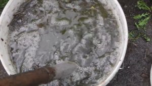 КАК ПРИГОТОВИТЬ ЗЕЛЕНОЕ УДОБРЕНИЕ ИЗ ТРАВЫ