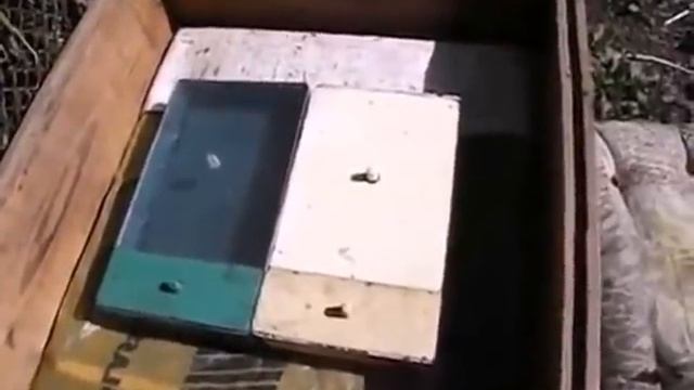 выбор кормушки для улья, и особенности применения кормушки при подкормки пчел смотреть онлайн