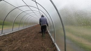 Доработка теплицы, посадка ремонтантной клубники
