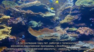 Марсианские каникулы: рассказываем о путешествиях на Марс