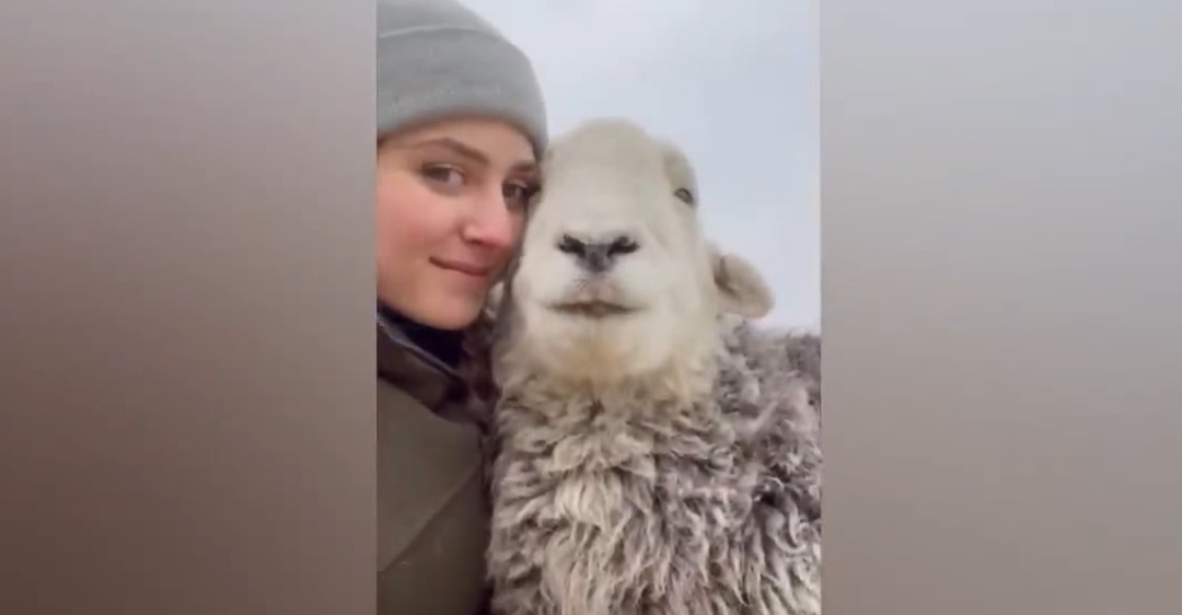 Смешные приколы Февраль 2023 #62 смотреть онлайн