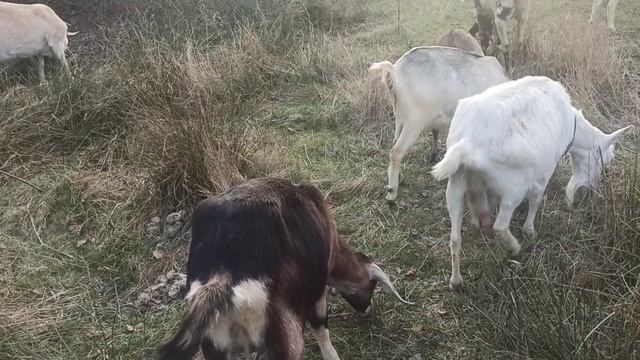 ночь прошла без сна ✌️ смотреть онлайн