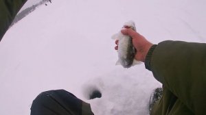 РЫБАЛКА НА СУДАКА ЗИМОЙ!2022!РЫБАЛКА В ГЛУХОЗИМЬЕ!